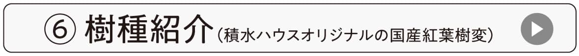 動画6樹種紹介（積水ハウスオリジナルの国産広葉樹編）
